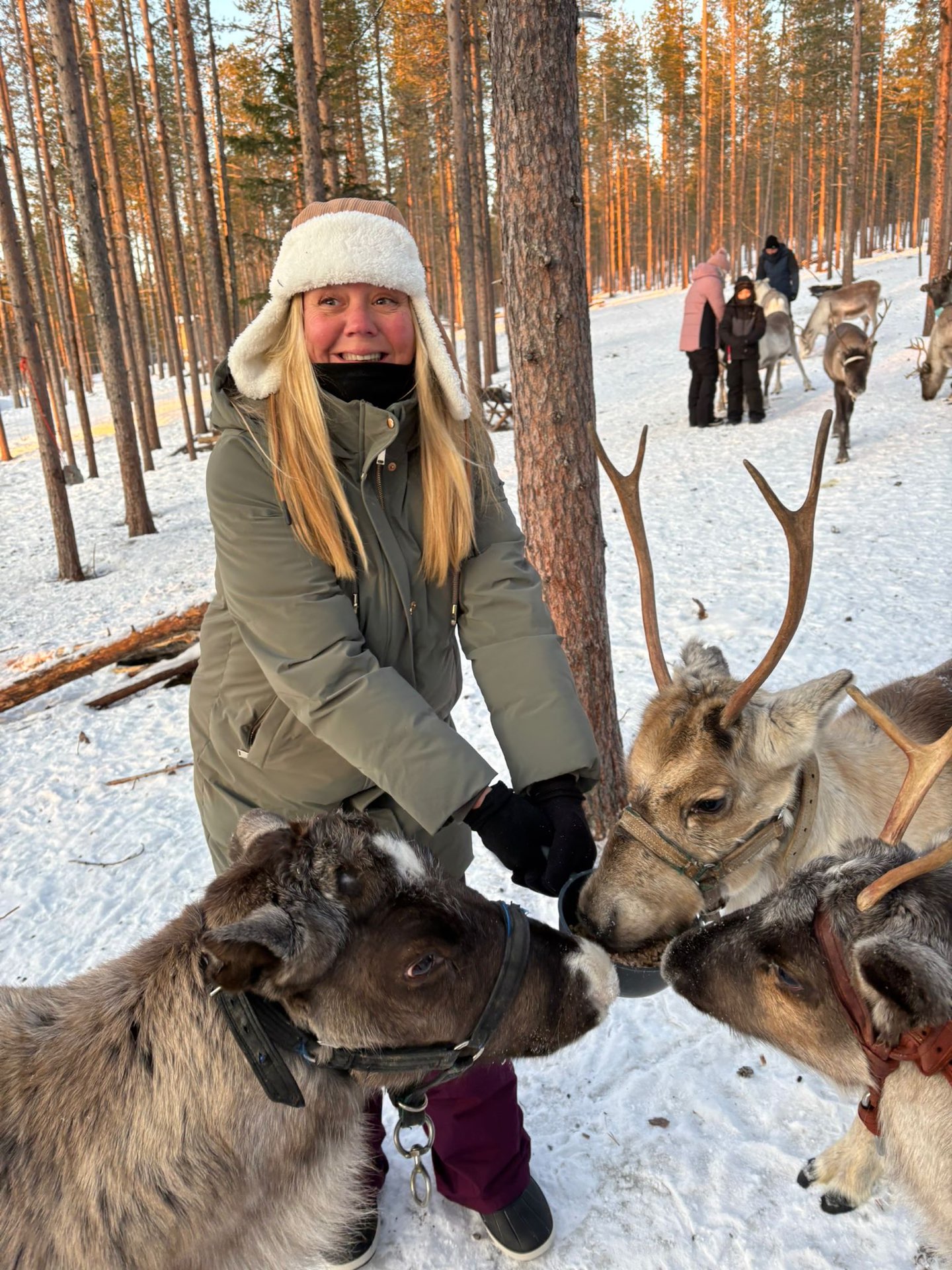 Lapland_35d52c5f-0bfb-4c03-b329-2ac40feee240
