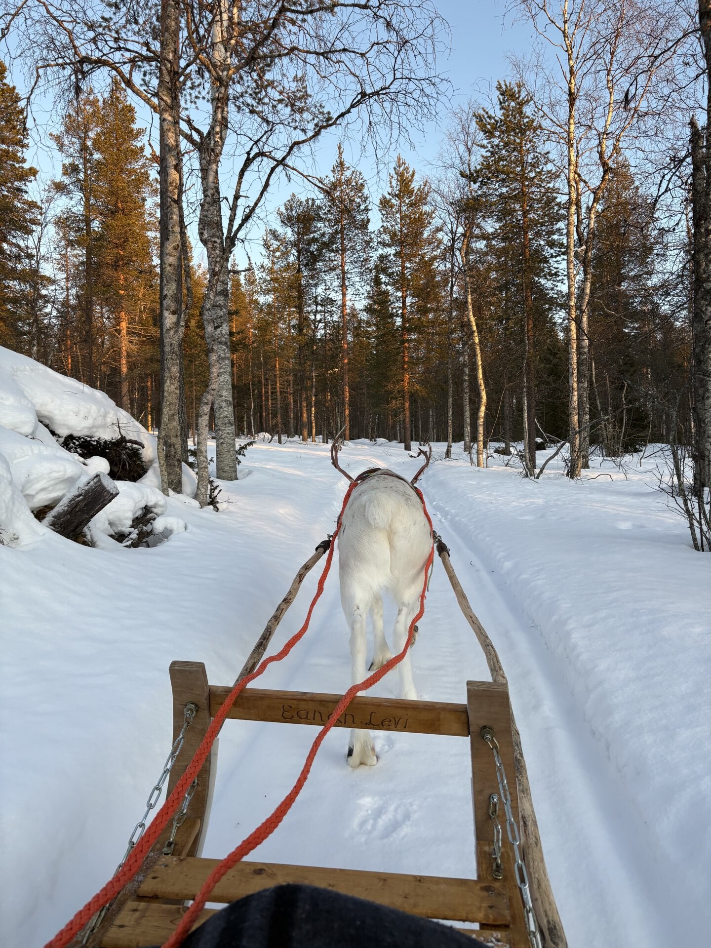 Lapland_IMG_4243
