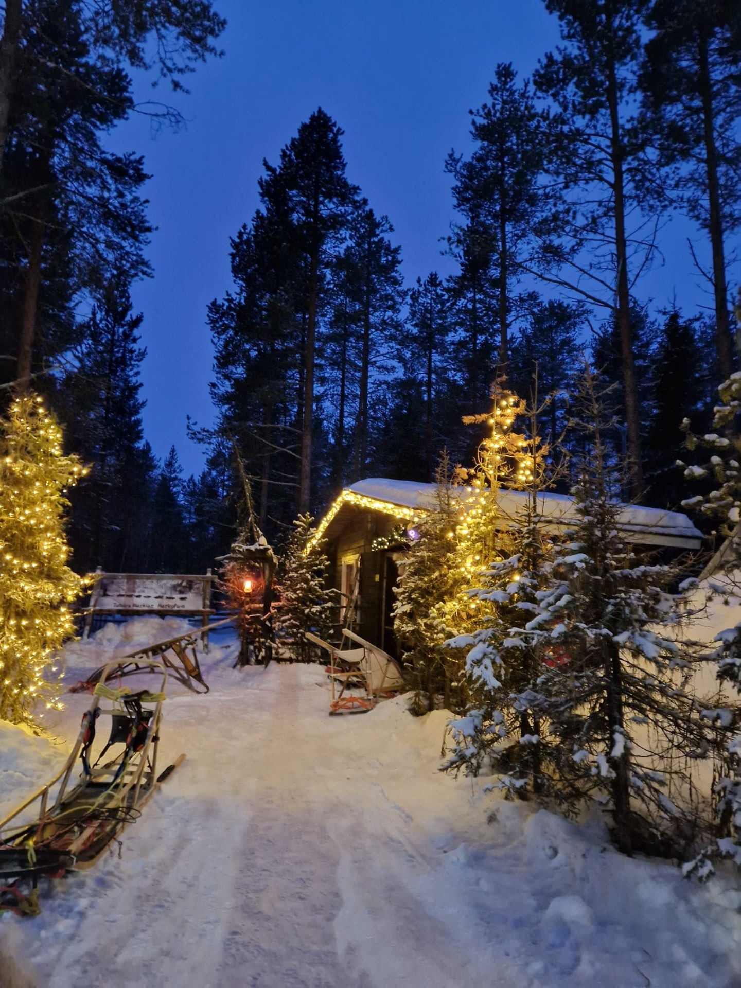 Lapland_c220b9f9-23db-41e8-8fd3-42eb07474767