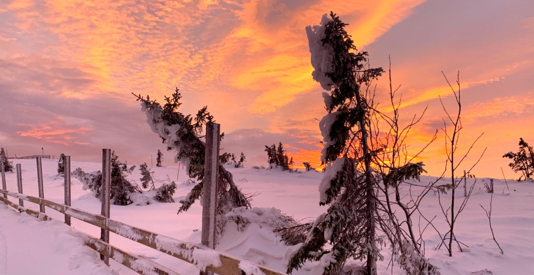 Lapland_zweden